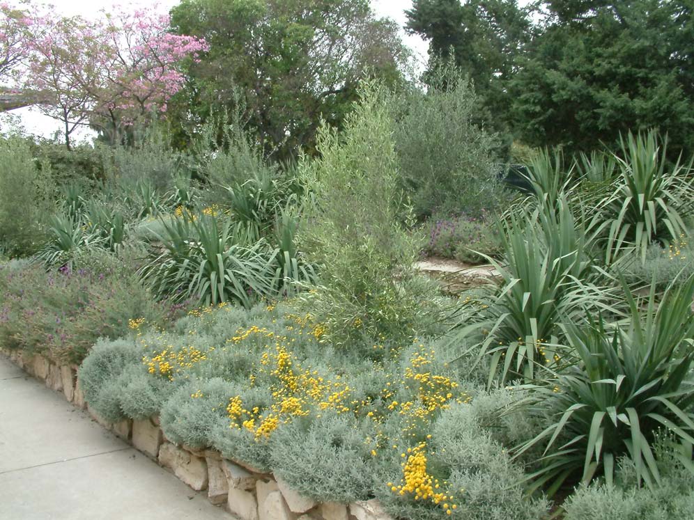 LA Arboretum Main 14