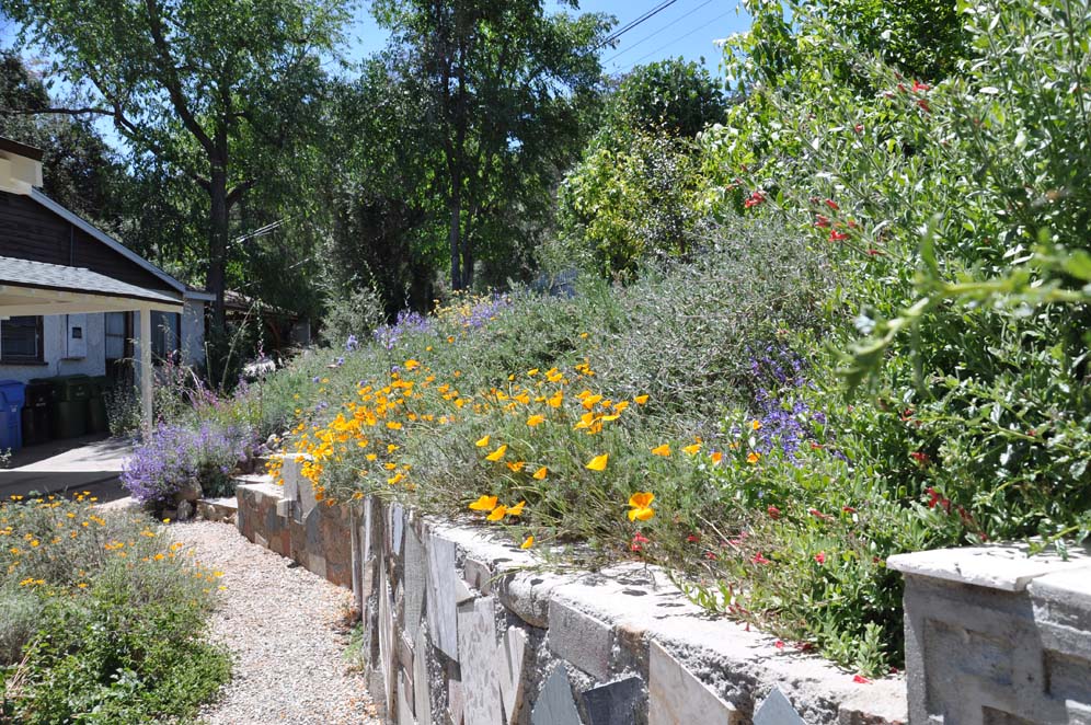 Wildlife Habitat Garden 16