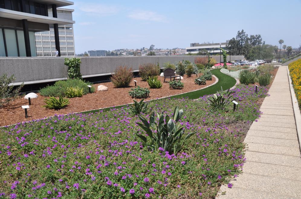 JFB Demonstration Garden B2