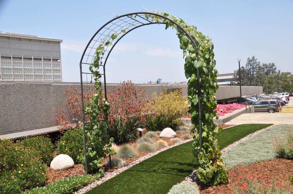 JFB Demonstration Garden B8