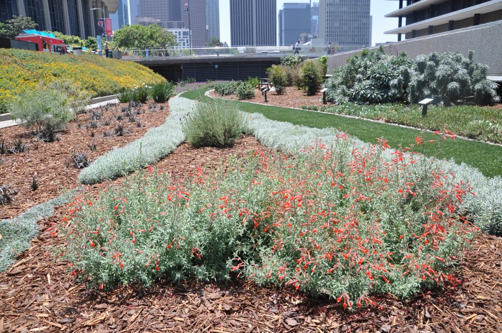 JFB Demonstration Garden B9