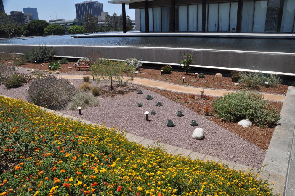 JFB Demonstration Garden C1