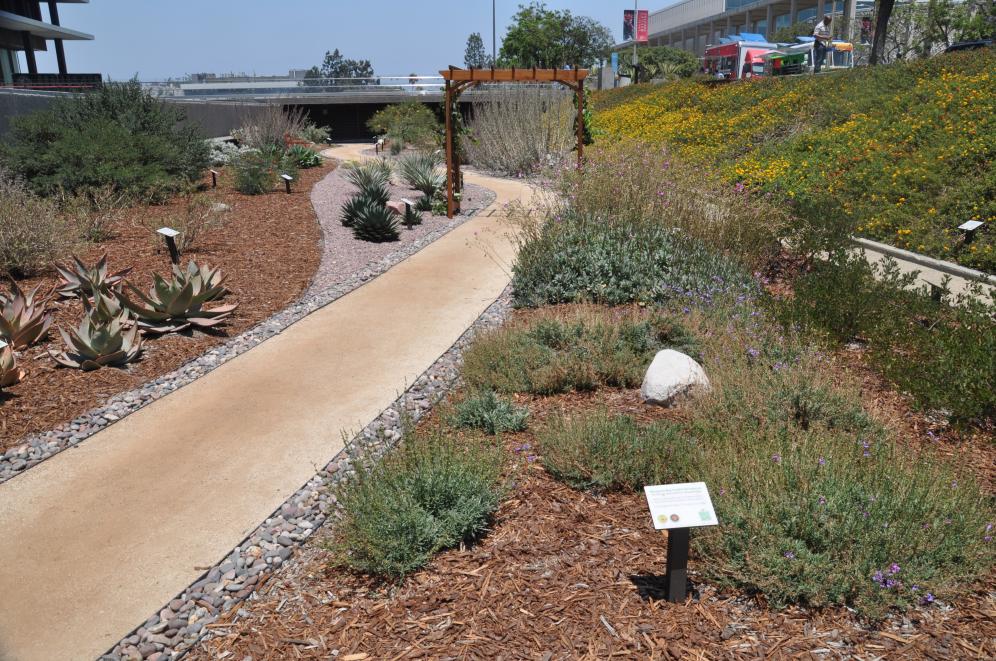 JFB Demonstration Garden C4