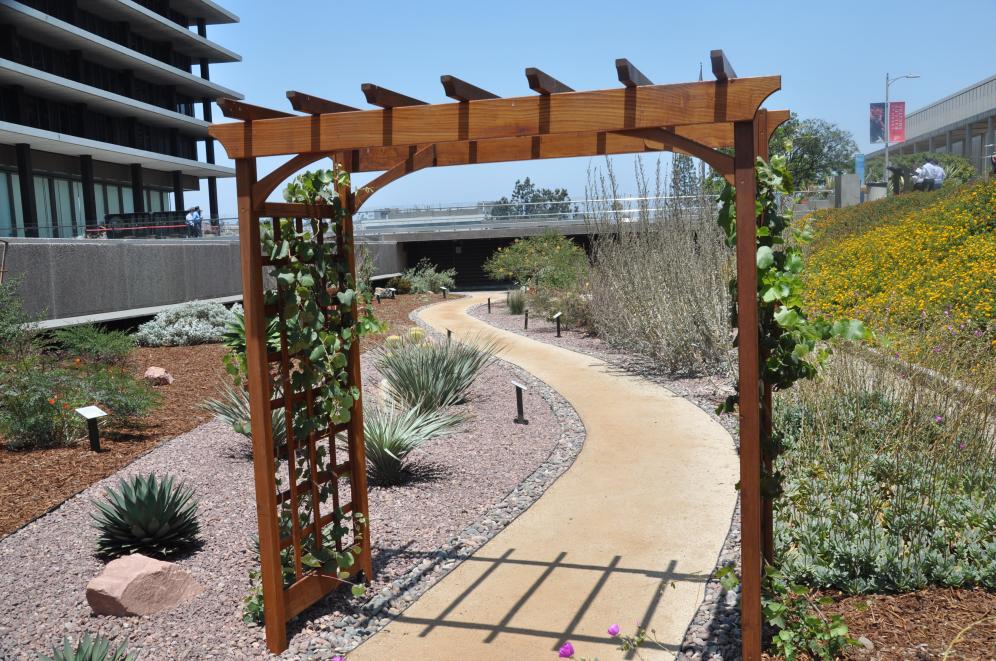 JFB Demonstration Garden C5