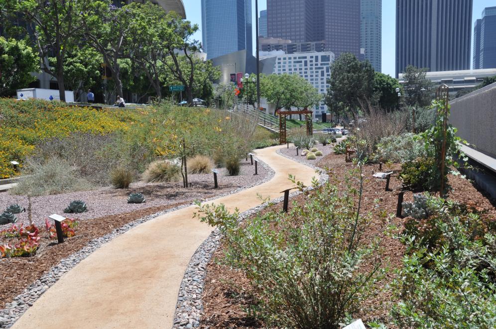 JFB Demonstration Garden C6