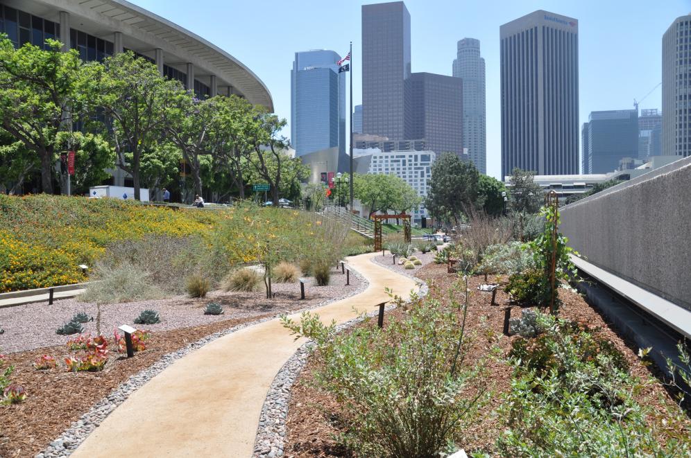 JFB Demonstration Garden C7