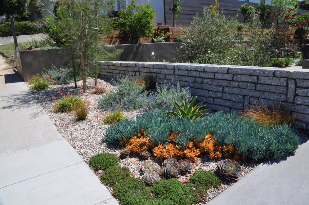 LA Courtyard Garden2