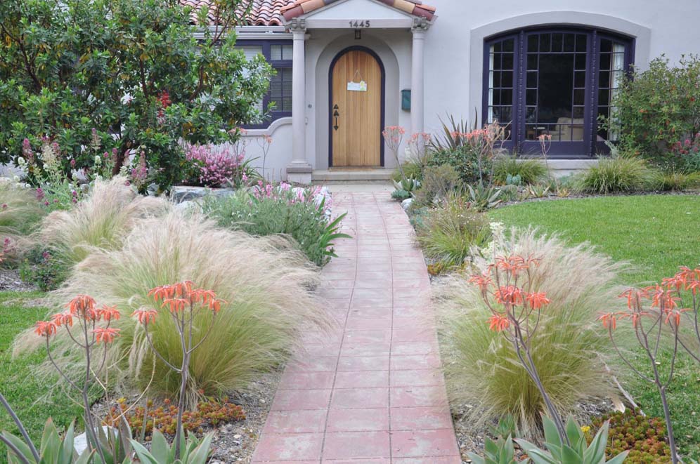 Feathery Grass Walkway