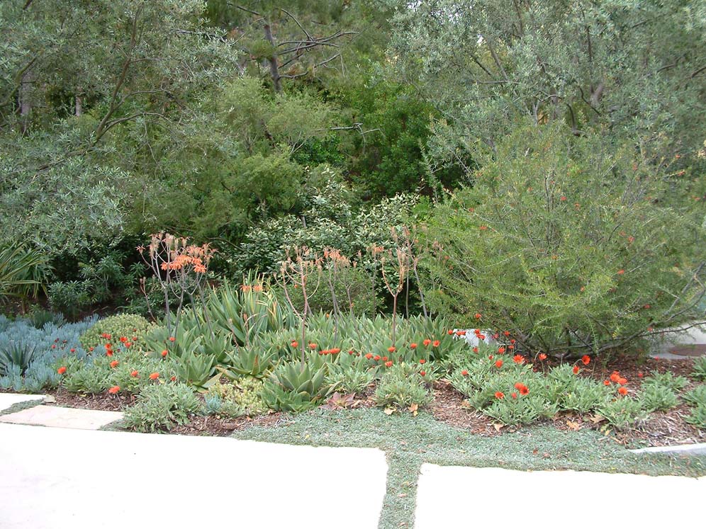 California Greek Garden 8