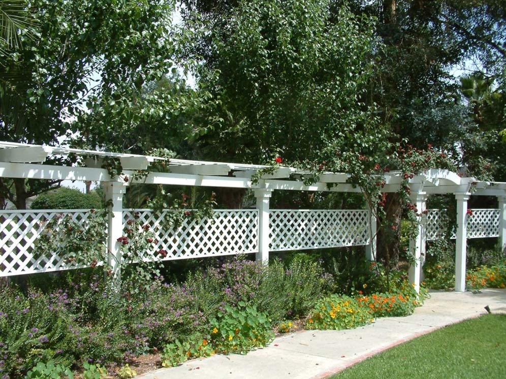 White Arbor and Vine Display