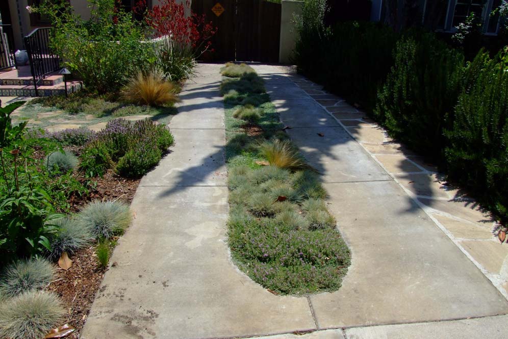 Living Island on Driveway