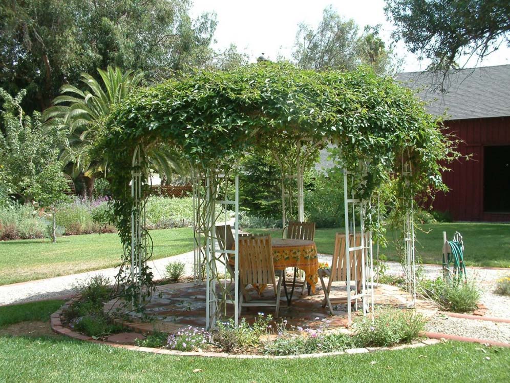 Vine Gazebo