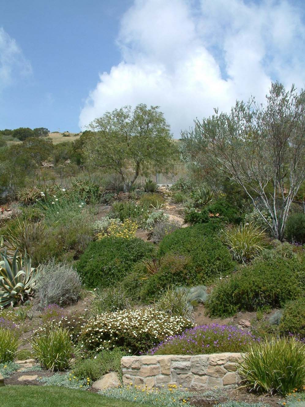 Looking Up the Hill