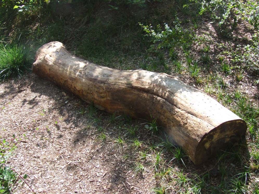 Log Art