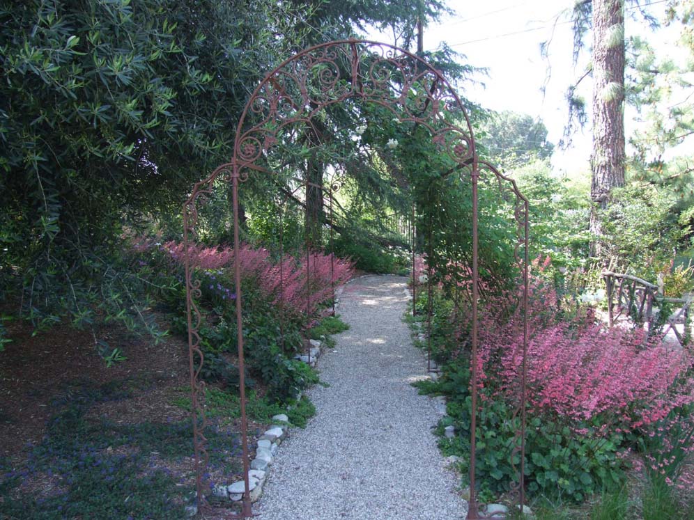 Arbor and Heuchera